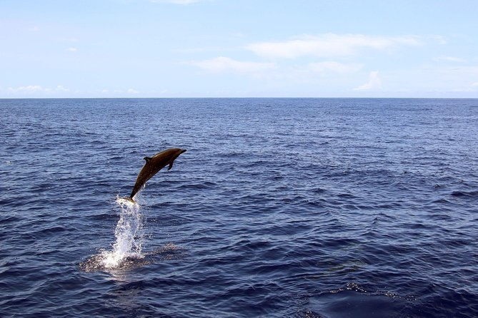 oahu-catamaran-cruise-snorkeling-wildlife-and-hawaiian-meal