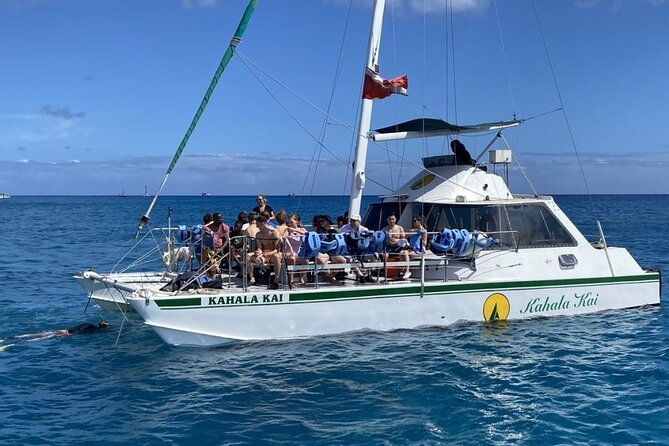 oahu-catamaran-snorkel-see-turtles-guaranteed