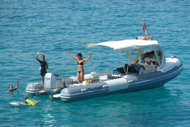observation-of-dolphins-and-snorkeling-in-a-rubber-boat-in-olbia