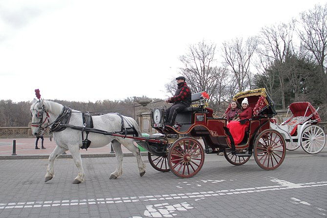 official-nyc-horse-carriage-rides-in-central-park-since-1979