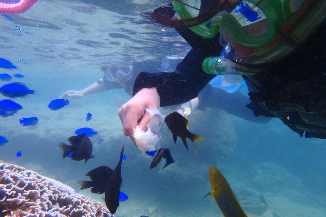 ok-from-2-years-old-sea-picnic-snorkel
