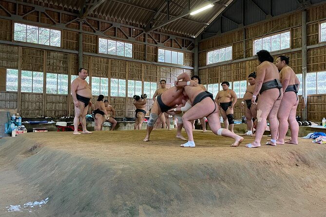 osaka-sumo-morning-practice-watching-experience