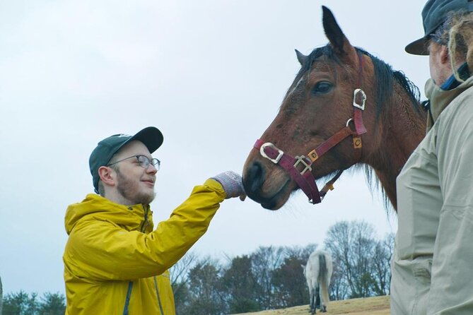 pasture-hike-with-horse-whisperer-at-horse-trust-in-kagoshima
