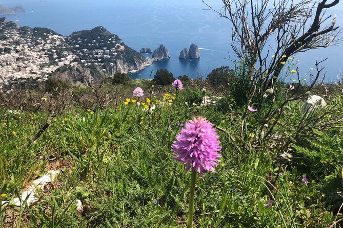 path-of-the-gods-gastronomical-hiking-with-food-tasting