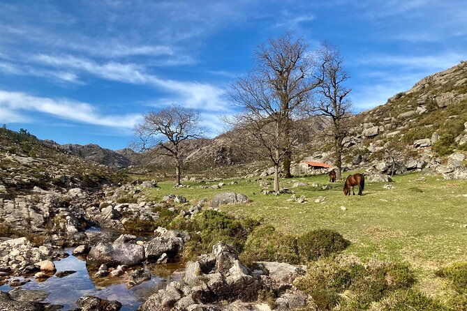 peneda-geres-hiking-sightseeing-private-experience