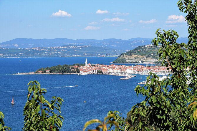 piran-panoramic-slovenian-coast-small-group-tour-from-koper