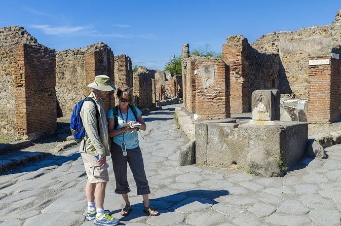 pompeii-2-hour-private-tour-with-an-archaeologist-ticket-included
