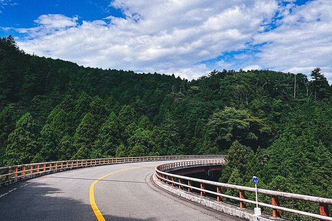 private-1-day-tour-to-mt-fuji-and-hakone-onsen-arts-and-nature