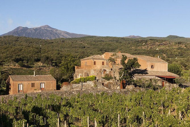 private-6-hour-tour-of-three-etna-wineries-with-foodwine-tasting