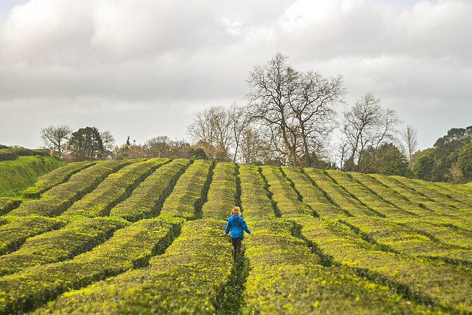 private-all-of-furnas-tea-plantation-ticket-to-beija-included