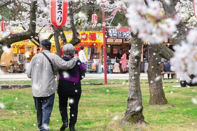private-and-unique-fukuoka-cherry-blossom-sakura-experience