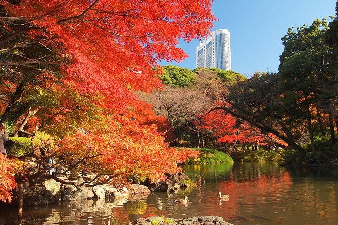 private-audio-guided-walking-tour-in-tokyo