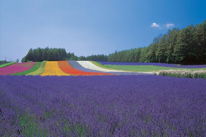 private-car-tour-of-furano-and-biei-in-hokkaido-with-local-guide