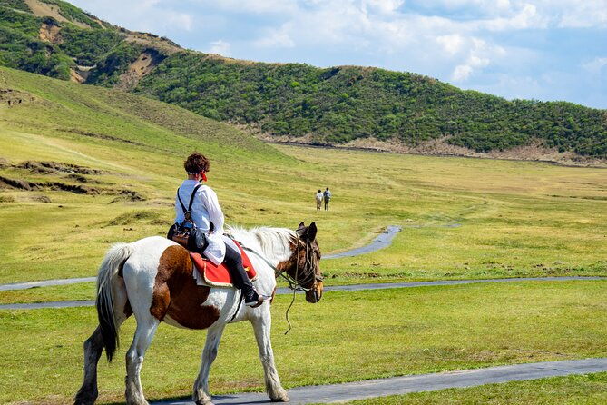 private-day-minibus-tour-to-mt-aso-kumamoto-castle-from-fukuoka