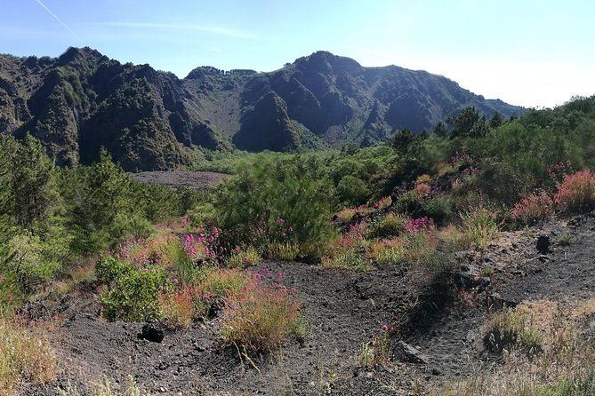 private-day-tour-to-vesuvius-herculaneum-pompeii-with-pick-up