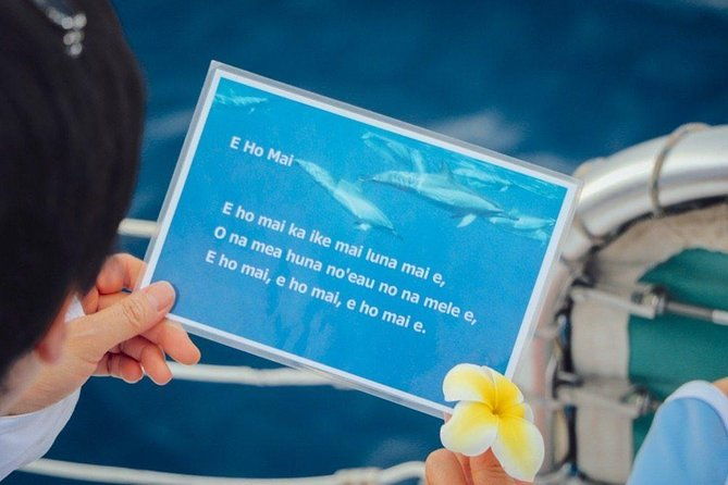 private-dolphin-swim-with-slide-for-up-to-15-passengers