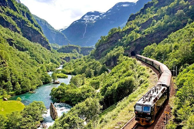 private-full-day-round-trip-from-oslo-to-sognefjord-via-flam-railway