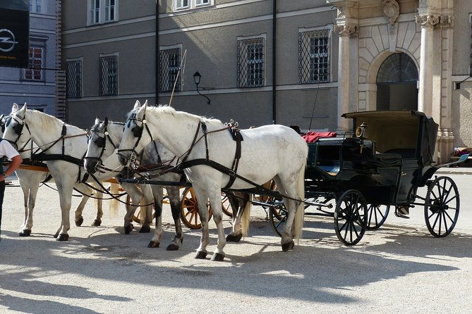 private-full-day-tour-to-salzburg-from-vienna-with-a-local-guide