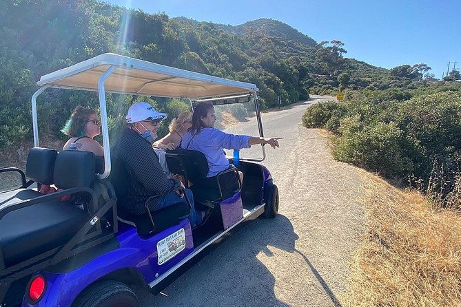 private-guided-golf-cart-tour-of-avalon