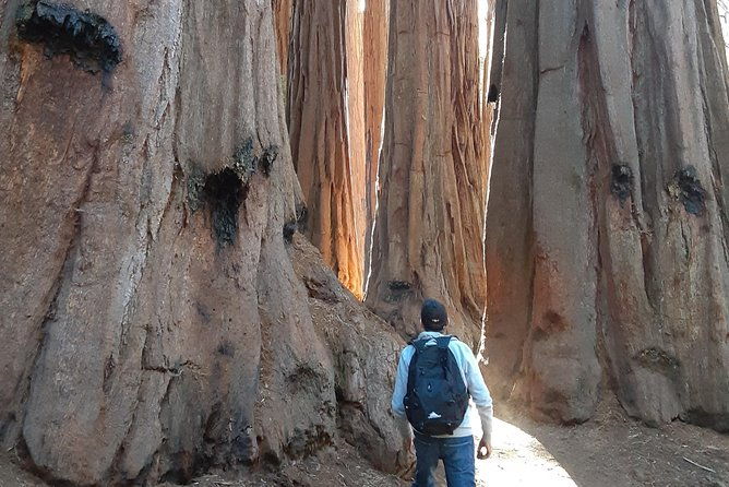 private-guided-hiking-tour-sequoia-national-park