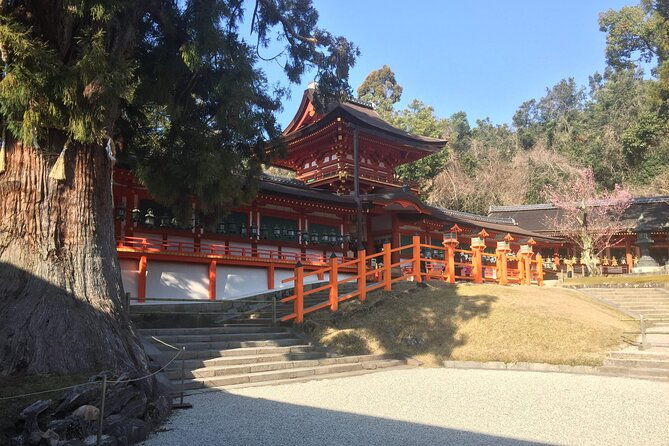 private-half-day-city-of-nara-guided-tour