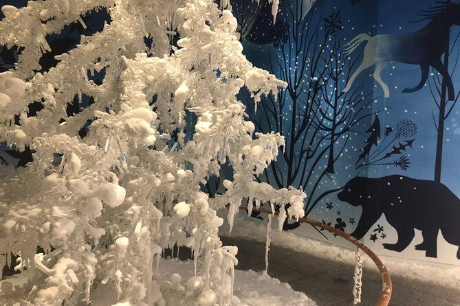 private-half-day-tour-to-swarovski-crystal-world-in-wattens