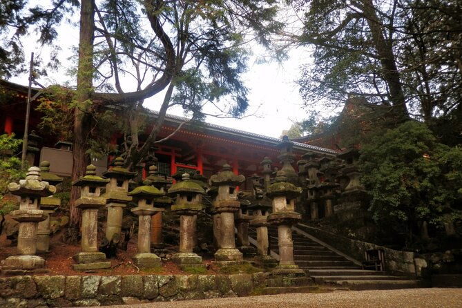 private-journey-in-naras-historical-wonder