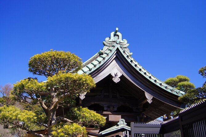 private-kamakura-and-enoshima-day-tour-from-tokyo