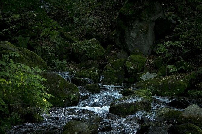 private-karuizawa-nagano-tour-bilingual-chauffeur