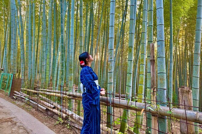 private-kyoto-morning-tour-top-landmarks-in-half-a-day-2