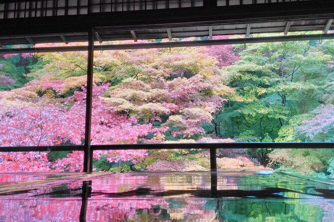private-kyoto-with-exceptional-guide-tailored-to-your-needs