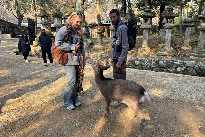 private-nara-tour-and-sake-tasting-departing-from-kyoto-nara