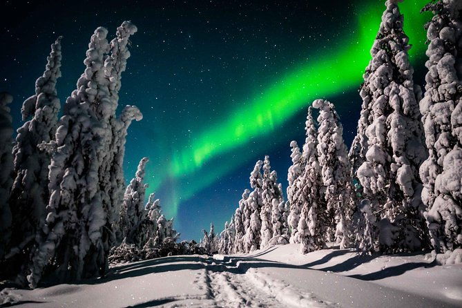 private-northern-lights-photography-tour-in-rovaniemi