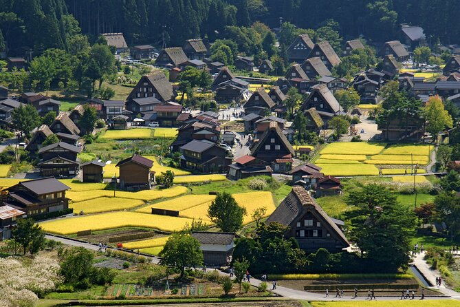 private-sightseeing-tour-to-shirakawago-and-takayama-from-nagoya