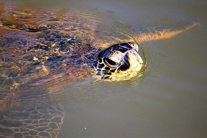 private-stand-up-paddle-lesson-and-tour-for-1-or-more-paddlers