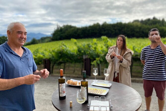 private-tour-at-a-family-winery-and-basque-coast-route