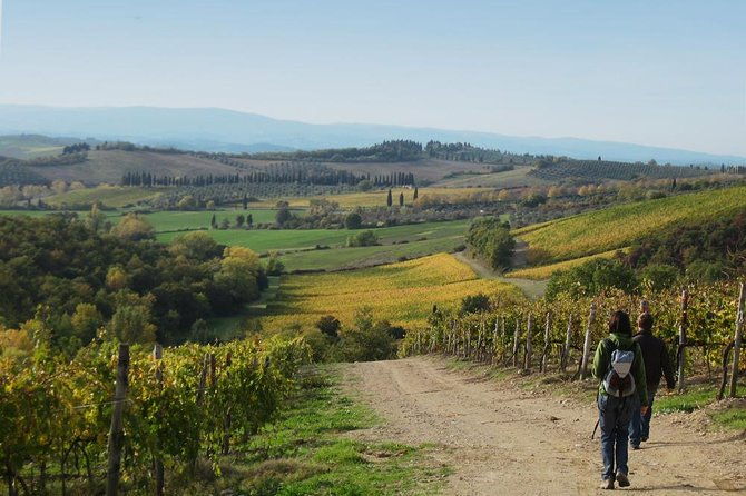 private-tour-guided-hike-in-tuscany-with-transport-from-siena