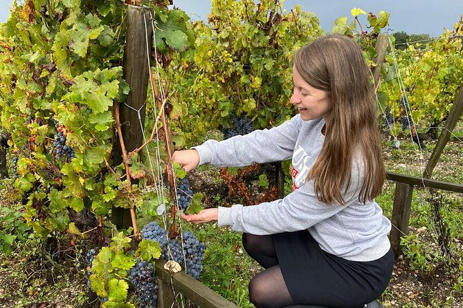 private-tour-in-the-prestigious-medoc-wine-region