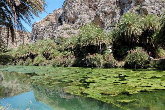 private-tour-rethymno-spili-preveli-kourtaliotiko-old-town