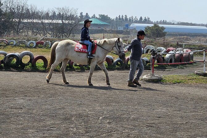 private-tour-south-and-west-jeju-island-with-experienced-driver