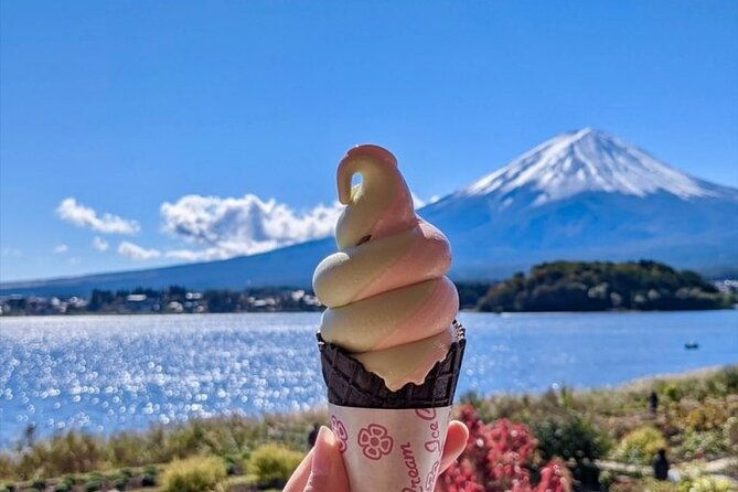 private-tour-to-mount-fuji-hakone-with-english-speaking-guide