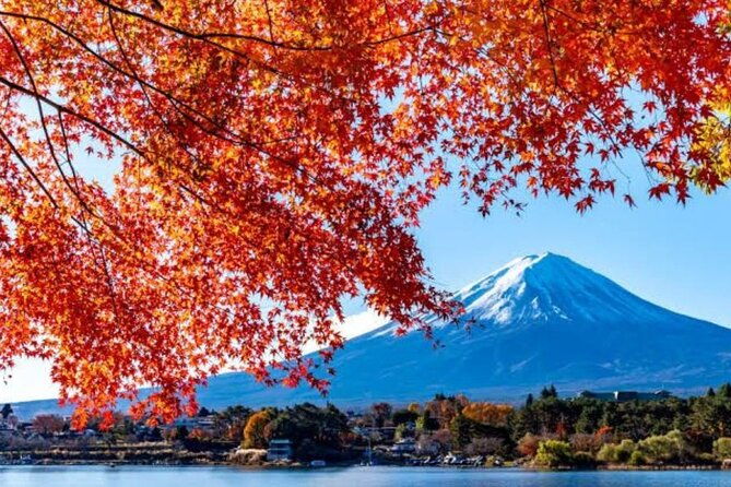 private-tour-to-mount-fuji-with-an-english-driver-from-tokyo