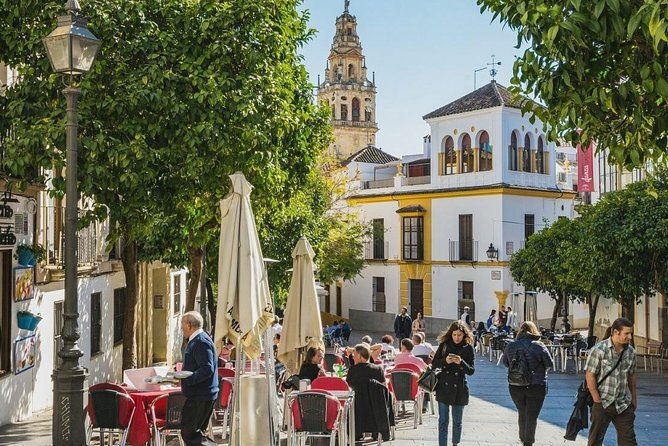 private-transfer-seville-to-granada-with-a-tour-of-cordoba-mosque