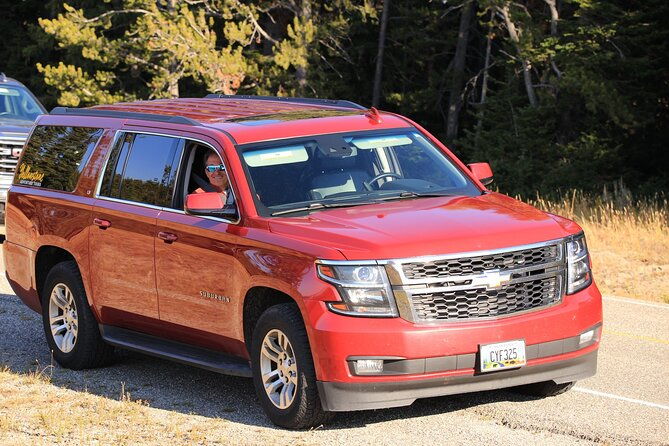 private-yellowstone-tour-iconic-sites-wildlife-family-friendly-hikes-lunch