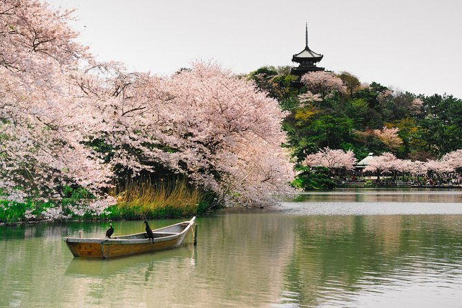 private-yokohama-family-tours-with-local-guides-100-personalized