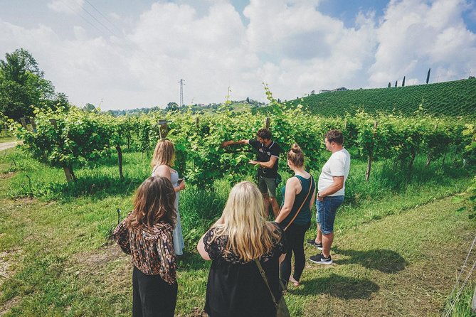 prosecco-wine-tour-from-venice-small-group-experience