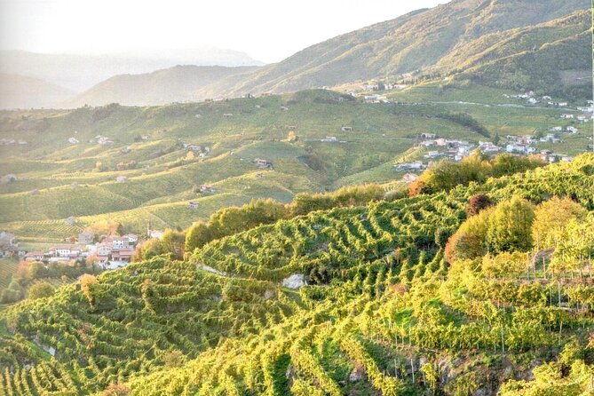 prosecco-wine-tour-tasting-full-day-in-the-prosecco-region
