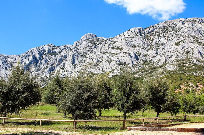provence-mont-sainte-victoire-in-search-of-cezanne-private-wine-tour