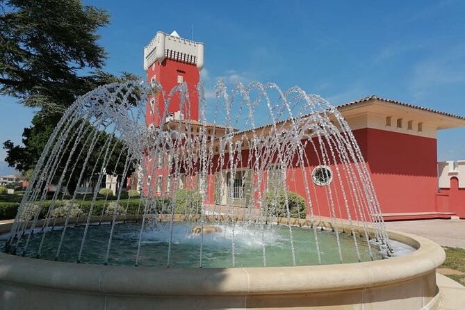 provence-organic-wine-small-group-half-day-tour-with-tastings-from-nice