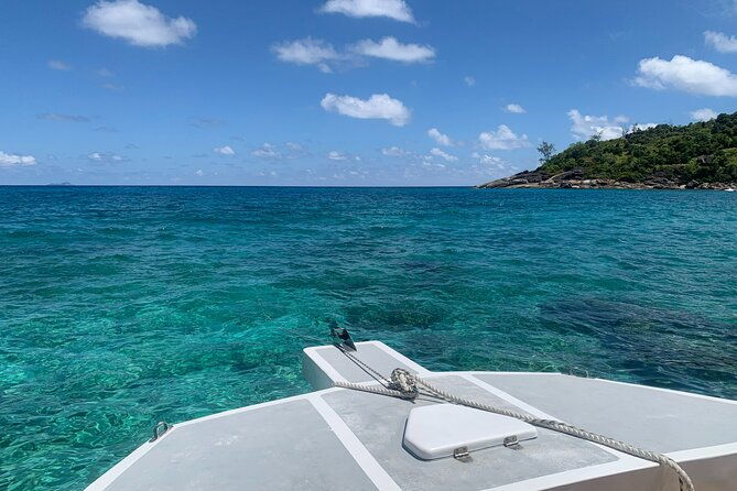 reef-safari-snorkeling-fish-feeding-lunch-shared-day-trip